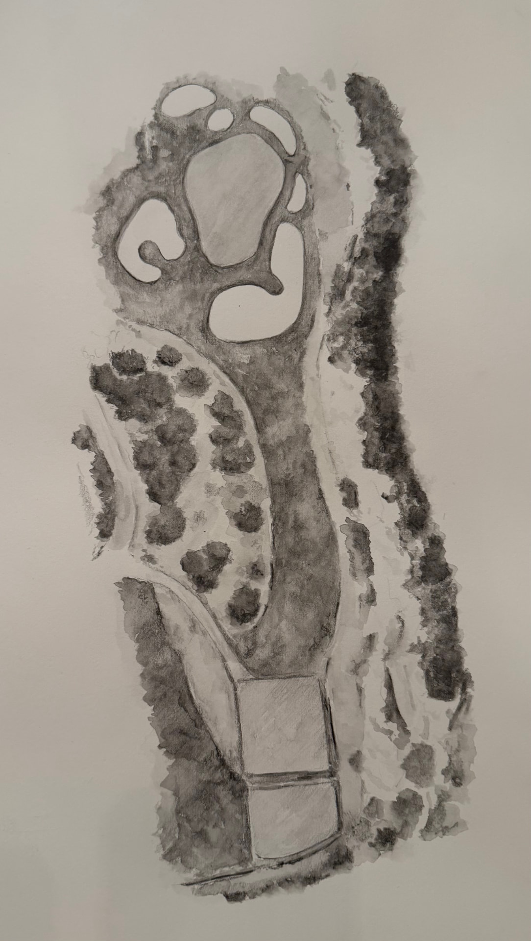 Pebble Beach #7 Aerial